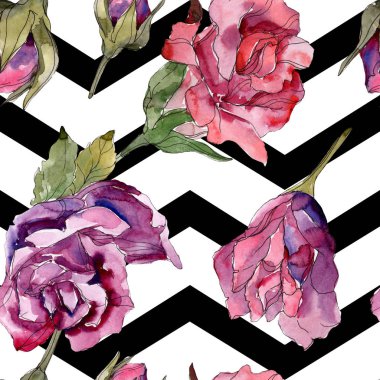Mor ve kırmızı gül botanik çiçekler. Vahşi bahar yaprak izole. Suluboya resim kümesi. Suluboya çizim moda aquarelle. Sorunsuz arka plan deseni. Kumaş duvar kağıdı yazdırma doku.