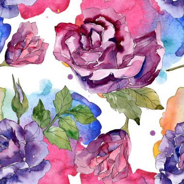 Mor ve kırmızı gül botanik çiçekler. Vahşi bahar yaprak izole. Suluboya resim kümesi. Suluboya çizim moda aquarelle. Sorunsuz arka plan deseni. Kumaş duvar kağıdı yazdırma doku.
