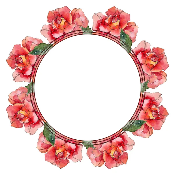 Fleur Botanique Florale Rose Rouge Feuille Sauvage Printemps Fleur Sauvage — Photo