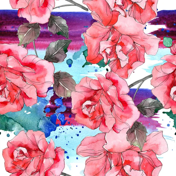 Rosa Rosa Rose Botanische Blume Wildes Frühlingsblatt Isoliert Aquarell Illustrationsset — Stockfoto