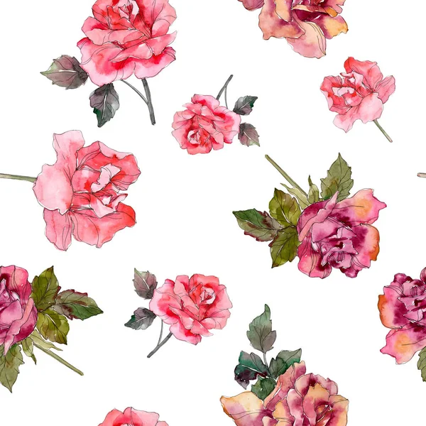 Rosa Rosa Rose Botanische Blume Wildes Frühlingsblatt Isoliert Aquarell Illustrationsset — Stockfoto