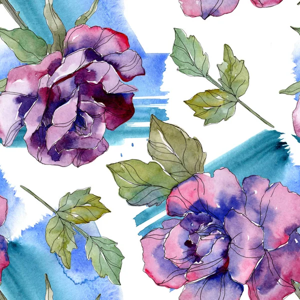 Bunga Mawar Botani Berwarna Biru Dan Ungu Daun Musim Semi — Stok Foto