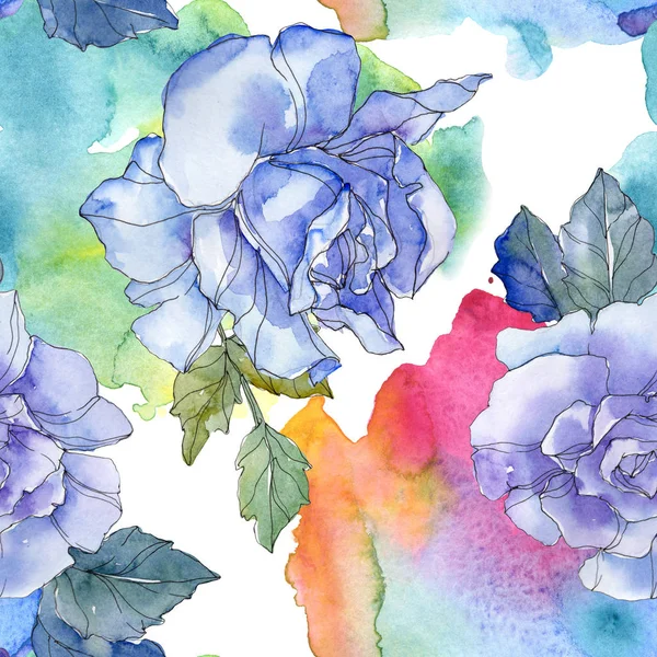Niebieski Fioletowy Róż Botanicznych Kwiat Kwiatowy Wiosna Dzikiego Liść Białym — Zdjęcie stockowe