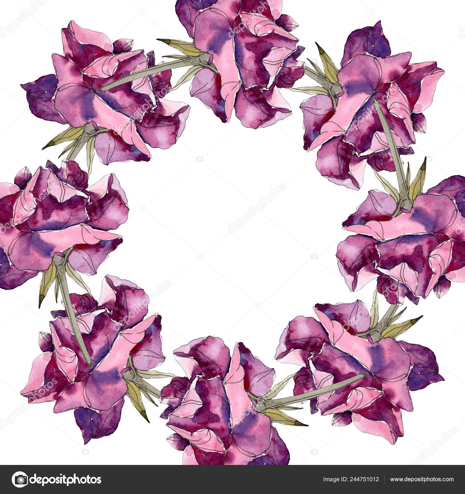 Fleurs Botaniques Florales Roses Violettes Feuille Sauvage Printemps Fleur  Sauvage image libre de droit par AndreYanush © #244751012