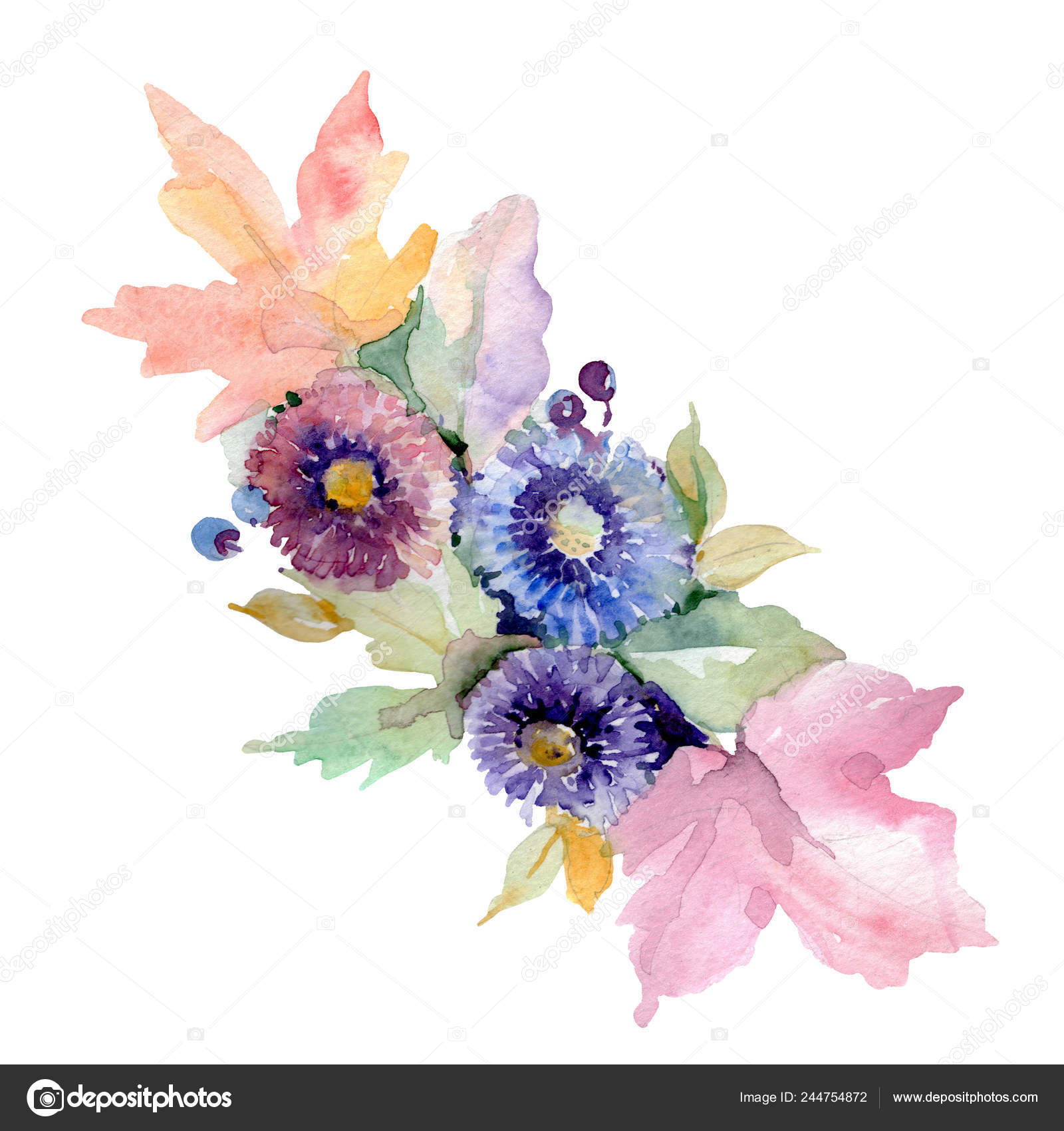 Bouquet Floral Botanical Flowers Wild Spring Leaf Wildflower Isolated  Watercolor Stock Photo by ©AndreYanush 244754872