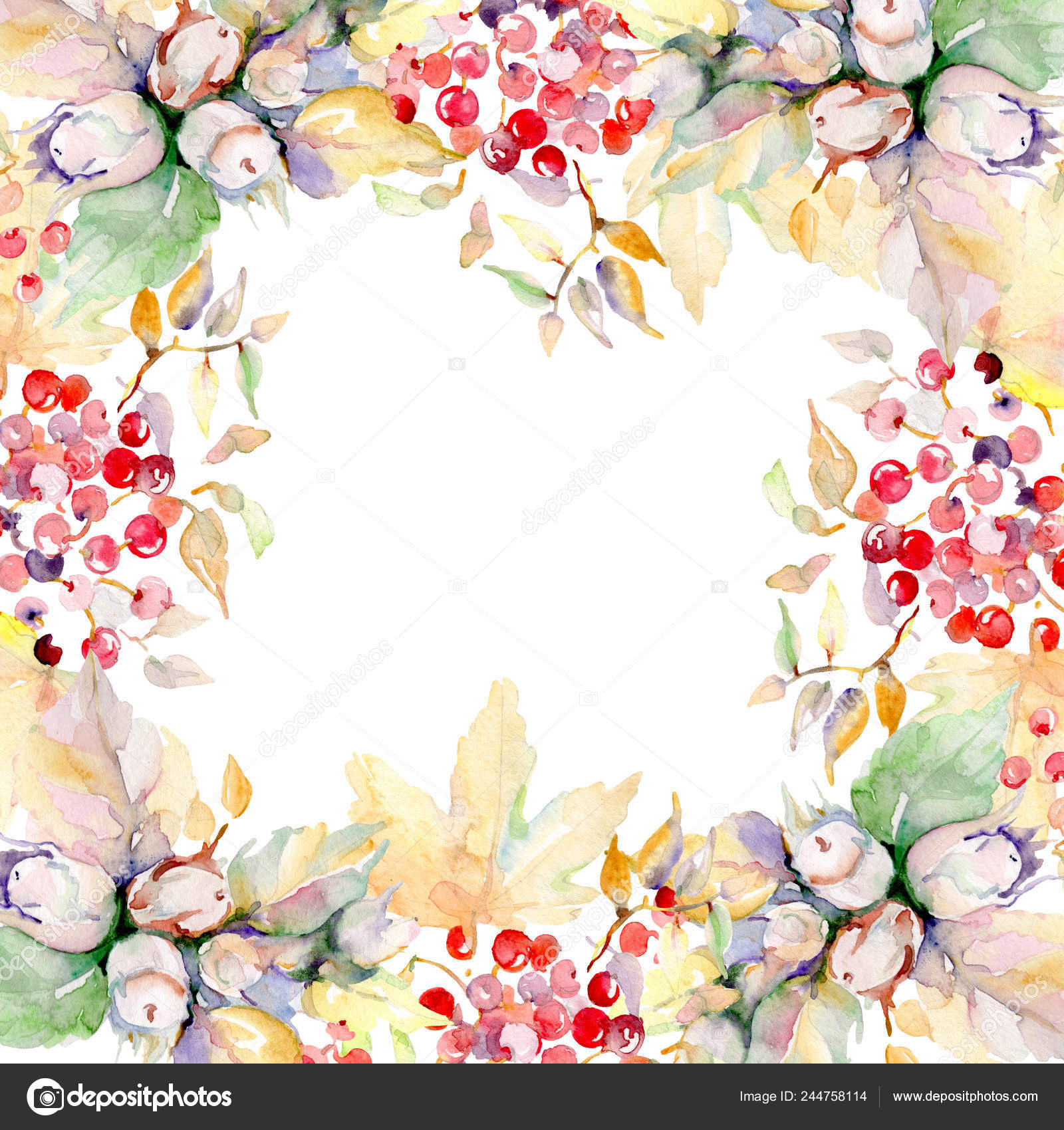 Download Bouquet Autumn Forest Fruits Wild Spring Leaf Isolated Watercolor Background Stock Photo Image By C Andreyanush 244758114