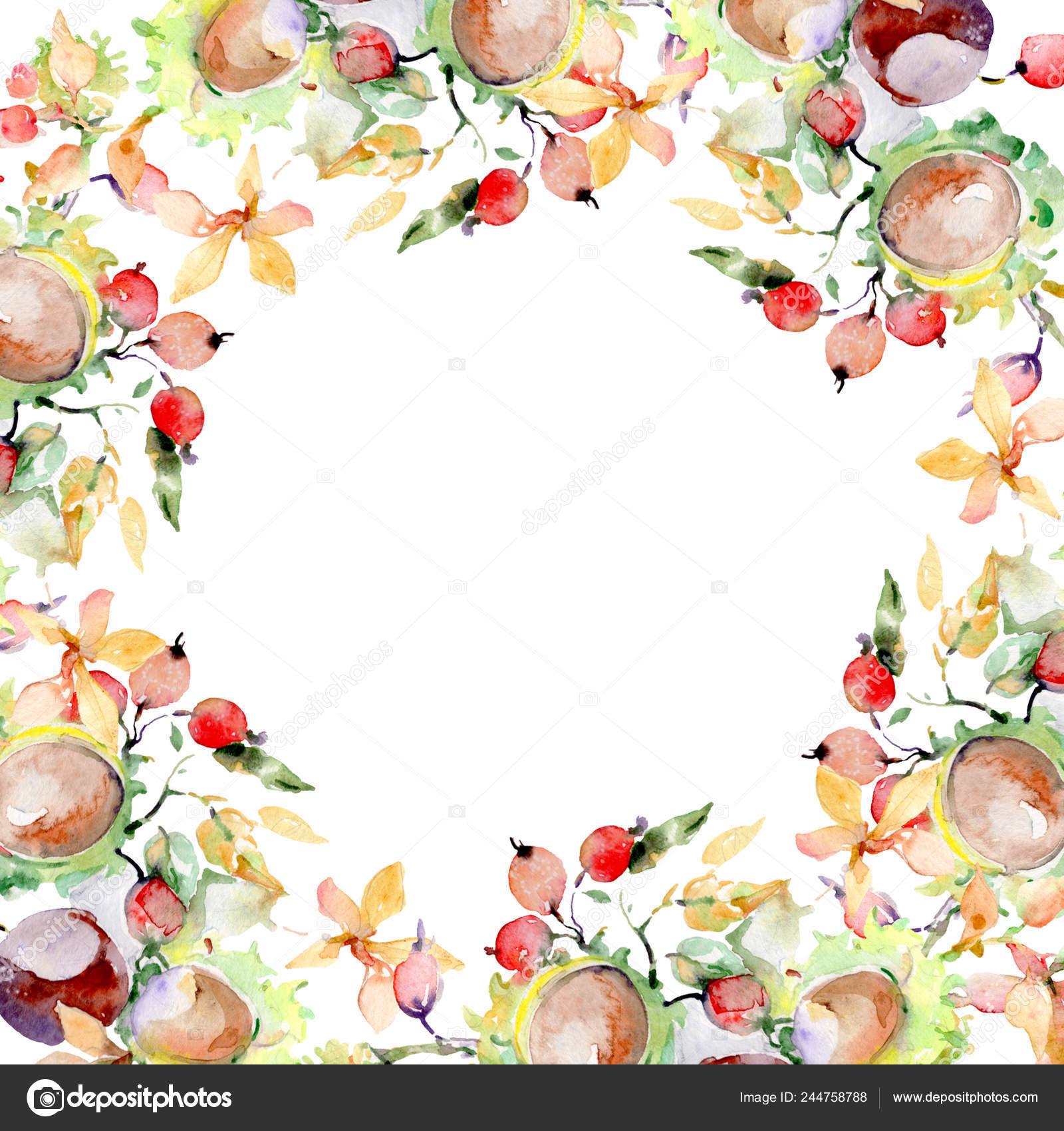 Download Bouquet Autumn Forest Fruits Wild Spring Leaf Isolated Watercolor Background Stock Photo Image By C Andreyanush 244758788