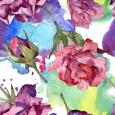 Mor ve kırmızı gül botanik çiçekler. Vahşi bahar yaprak izole. Suluboya resim kümesi. Suluboya çizim moda aquarelle. Sorunsuz arka plan deseni. Kumaş duvar kağıdı yazdırma doku.