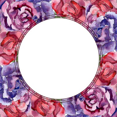 Mor ve kırmızı çiçek botanik çiçekler yükseldi. Vahşi bahar yaprak izole kır çiçeği. Suluboya arka plan illüstrasyon küme. Suluboya çizim moda aquarelle. Çerçeve kenarlığı süsleme Meydanı.