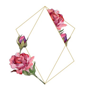 Kırmızı gül çiçek botanik çiçekler. Vahşi bahar yaprak izole kır çiçeği. Suluboya arka plan illüstrasyon küme. Suluboya çizim moda aquarelle. Çerçeve kenarlığı süsleme Meydanı.