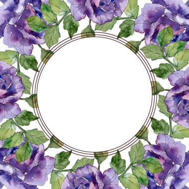 Menekşe gül çiçek botanik çiçekler. Vahşi bahar yaprak izole kır çiçeği. Suluboya arka plan illüstrasyon küme. Suluboya çizim moda aquarelle. Çerçeve kenarlığı süsleme Meydanı.