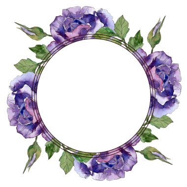 Menekşe gül çiçek botanik çiçekler. Vahşi bahar yaprak izole kır çiçeği. Suluboya arka plan illüstrasyon küme. Suluboya çizim moda aquarelle. Çerçeve kenarlığı süsleme Meydanı.