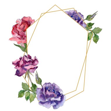 Mor ve kırmızı çiçek botanik çiçekler yükseldi. Vahşi bahar yaprak izole kır çiçeği. Suluboya arka plan illüstrasyon küme. Suluboya çizim moda aquarelle. Çerçeve kenarlığı süsleme Meydanı.