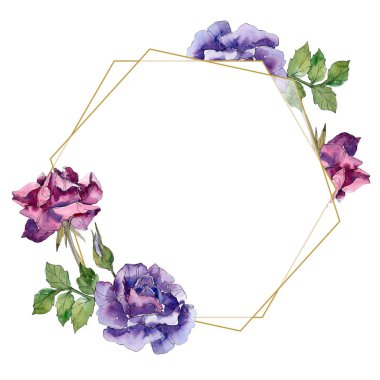 Mor ve kırmızı çiçek botanik çiçekler yükseldi. Vahşi bahar yaprak izole kır çiçeği. Suluboya arka plan illüstrasyon küme. Suluboya çizim moda aquarelle. Çerçeve kenarlığı süsleme Meydanı.