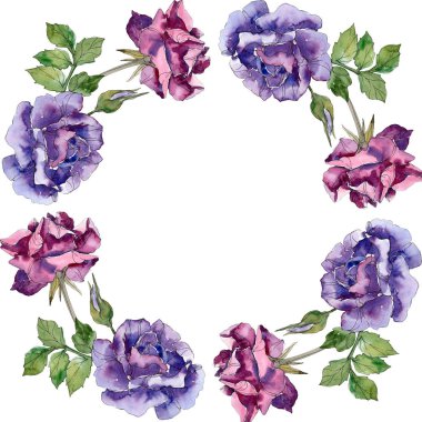 Mor ve kırmızı çiçek botanik çiçekler yükseldi. Vahşi bahar yaprak izole kır çiçeği. Suluboya arka plan illüstrasyon küme. Suluboya çizim moda aquarelle. Çerçeve kenarlığı süsleme Meydanı.