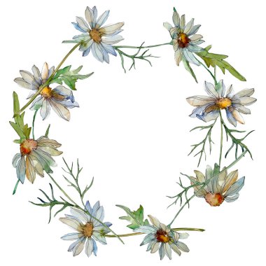 Chamomiles yeşil yaprakları suluboya resim hazır, çerçeve kenarlık süsleme ile kopya alanı ile