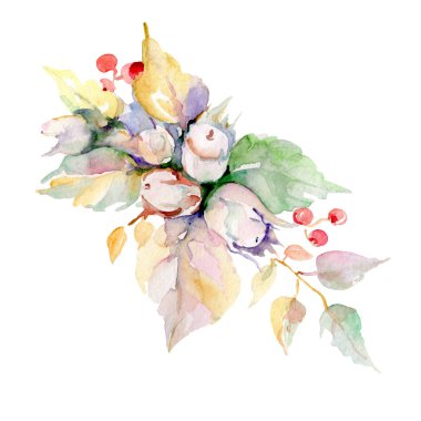 Buket fındık ve yaprakları ile. Vahşi bahar yaprak izole. Suluboya arka plan illüstrasyon küme. Suluboya çizim moda aquarelle izole. İzole buket illüstrasyon öğesi.