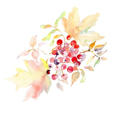 Bouquet with rowanberry floral botanical leaves. Wild spring leaf isolated. Watercolor background set. Watercolour drawing fashion aquarelle. Isolated bouquet illustration element. clipart