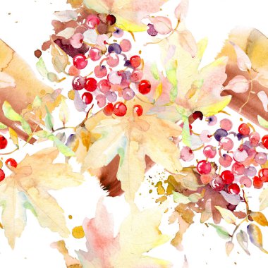 Sonbahar orman meyve buketi. Vahşi bahar yaprak izole. Suluboya resim kümesi. Suluboya çizim moda aquarelle izole. Sorunsuz arka plan deseni. Kumaş duvar kağıdı yazdırma doku.