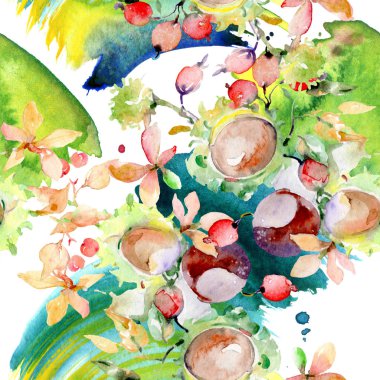 Sonbahar orman meyve buketi. Vahşi bahar yaprak izole. Suluboya resim kümesi. Suluboya çizim moda aquarelle izole. Sorunsuz arka plan deseni. Kumaş duvar kağıdı yazdırma doku.