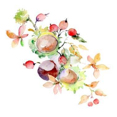 Sonbahar orman meyve buketi. Vahşi bahar yaprak izole. Suluboya arka plan illüstrasyon küme. Suluboya çizim moda aquarelle. İzole buket illüstrasyon öğesi.