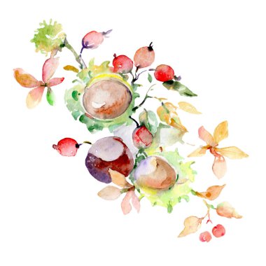 Bouquet of autumn forest fruits. Wild spring leaf isolated. Watercolor background illustration set. Watercolour drawing fashion aquarelle. Isolated bouquet illustration element. clipart