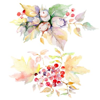 Sonbahar orman meyve buketi. Vahşi bahar yaprak izole. Suluboya arka plan illüstrasyon küme. Suluboya çizim moda aquarelle. İzole buket illüstrasyon öğesi.