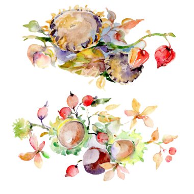 Sonbahar orman meyve buketi. Vahşi bahar yaprak izole. Suluboya arka plan illüstrasyon küme. Suluboya çizim moda aquarelle. İzole buket illüstrasyon öğesi.