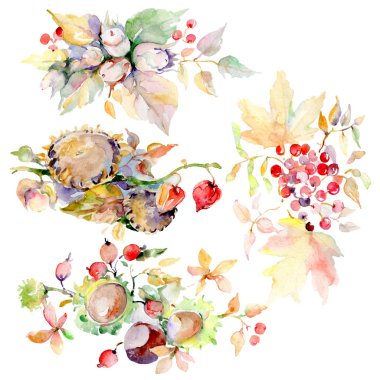 Sonbahar orman meyve buketi. Vahşi bahar yaprak izole. Suluboya arka plan illüstrasyon küme. Suluboya çizim moda aquarelle. İzole buket illüstrasyon öğesi.