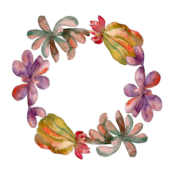 Jungle succulent floral botanical flower. Wild spring leaf wildflower isolated. Watercolor background illustration set. Watercolour drawing fashion aquarelle isolated. Frame border ornament square.