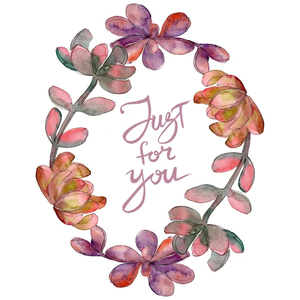 Джунгли Сочный Цветочный Ботанический Цветок Дикий Весенний Цветок Изолирован Набор — стоковое фото