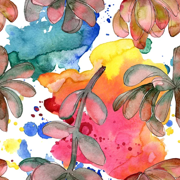 Сочный Цветок Джунглей Весенний Листовой Полевой Цветок Изолирован Набор Акварельных — стоковое фото