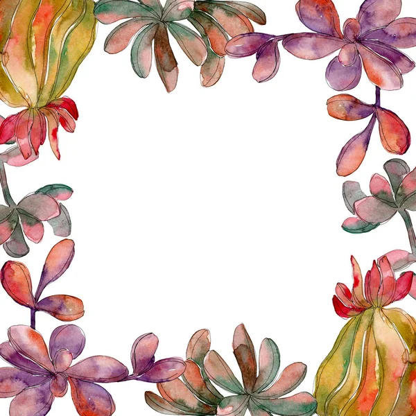 Jungle succulent floral botanical flower. Wild spring leaf wildflower isolated. Watercolor background illustration set. Watercolour drawing fashion aquarelle isolated. Frame border ornament square.