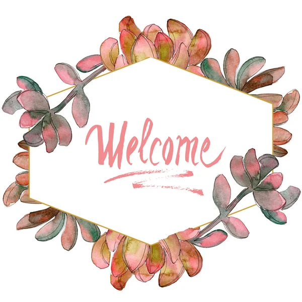 Jungle succulent floral botanical flower. Wild spring leaf wildflower isolated. Watercolor background illustration set. Watercolour drawing fashion aquarelle isolated. Frame border ornament square.