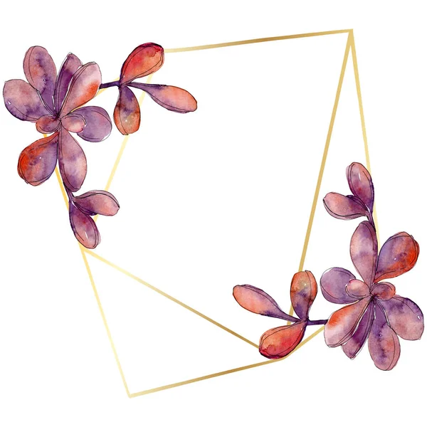 Jungle succulent floral botanical flower. Wild spring leaf wildflower isolated. Watercolor background illustration set. Watercolour drawing fashion aquarelle isolated. Frame border ornament square.