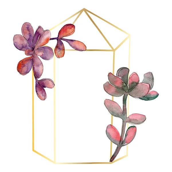 Jungle succulent floral botanical flower. Wild spring leaf wildflower isolated. Watercolor background illustration set. Watercolour drawing fashion aquarelle isolated. Frame border ornament square.