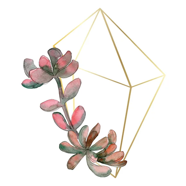Jungle succulent floral botanical flower. Wild spring leaf wildflower isolated. Watercolor background illustration set. Watercolour drawing fashion aquarelle isolated. Frame border ornament square.