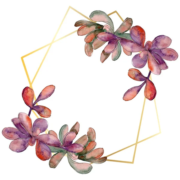 Jungle succulent floral botanical flower. Wild spring leaf wildflower isolated. Watercolor background illustration set. Watercolour drawing fashion aquarelle isolated. Frame border ornament square.