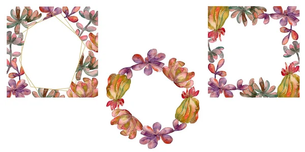 Jungle succulent floral botanical flower. Wild spring leaf wildflower isolated. Watercolor background illustration set. Watercolour drawing fashion aquarelle isolated. Frame border ornament square.