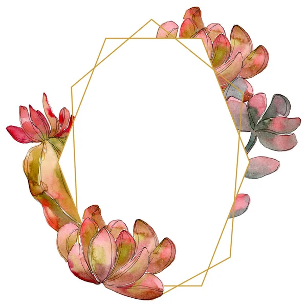 Jungle succulent floral botanical flower. Wild spring leaf wildflower isolated. Watercolor background illustration set. Watercolour drawing fashion aquarelle isolated. Frame border ornament square.
