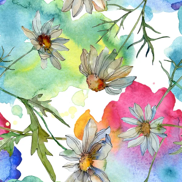 Camomilles Avec Des Feuilles Vertes Illustration Aquarelle Motif Fond Sans — Photo