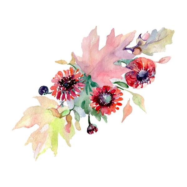 Букет Цветочных Ботанических Цветов Дикий Весенний Цветок Изолирован Набор Акварельных — стоковое фото
