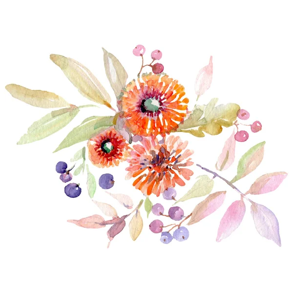 花束花植物の花 野生春葉のワイルドフラワーが分離されました 水彩画背景イラスト セット 水彩描画ファッション Aquarelle 孤立した花束の図要素 — ストック写真