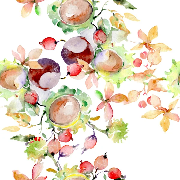 秋天森林果实的花束 被隔绝的狂放的春天叶子 水彩插图集 水彩画时尚水族馆隔离 无缝的背景模式 织物壁纸打印纹理 — 图库照片