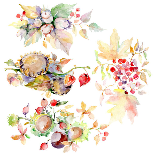 Bouquet of autumn forest fruits. Wild spring leaf isolated. Watercolor background illustration set. Watercolour drawing fashion aquarelle. Isolated bouquet illustration element.