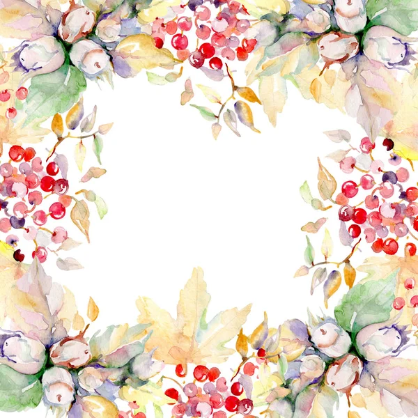 Bouquet of autumn forest fruits. Wild spring leaf isolated. Watercolor background illustration set. Watercolour drawing fashion aquarelle isolated. Frame border ornament square. — Stock Image Bouquet Autumn Forest Fruits Wild Spring Leaf Isolated Watercolor Background Stock Photo