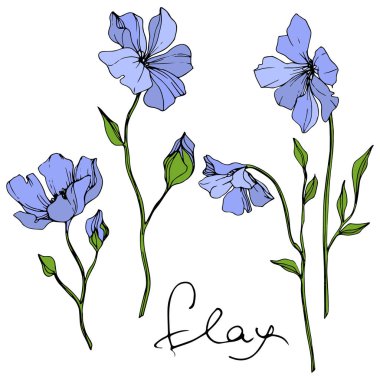 Vector Blue Flax floral botanical flower. Wild spring leaf wildflower isolated. Engraved ink art. Isolated flax illustration element on white background. clipart