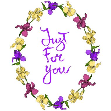 Vektör mor, sarı ve Iris botanik çiçek bordo. Vahşi bahar yaprak izole kır çiçeği. Oyulmuş mürekkep sanat. Çerçeve kenarlığı süsleme Meydanı.