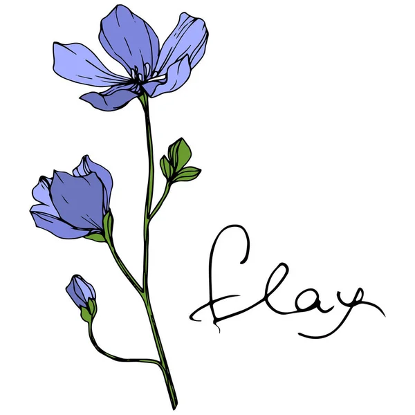 Vector Blue Flax Fleur Botanique Florale Feuille Sauvage Printemps Fleur — Image vectorielle