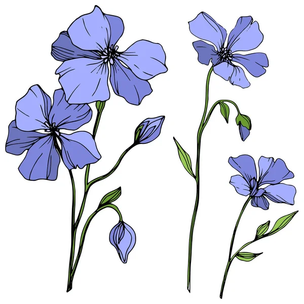 向量蓝色亚麻花植物花 野生春叶野花分离 雕刻的水墨艺术 白色背景上的独立亚麻插图元素 — 图库矢量图片
